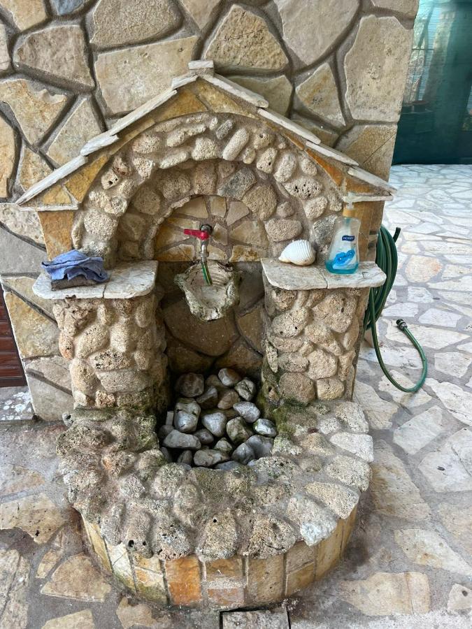 Zoto * Himare
